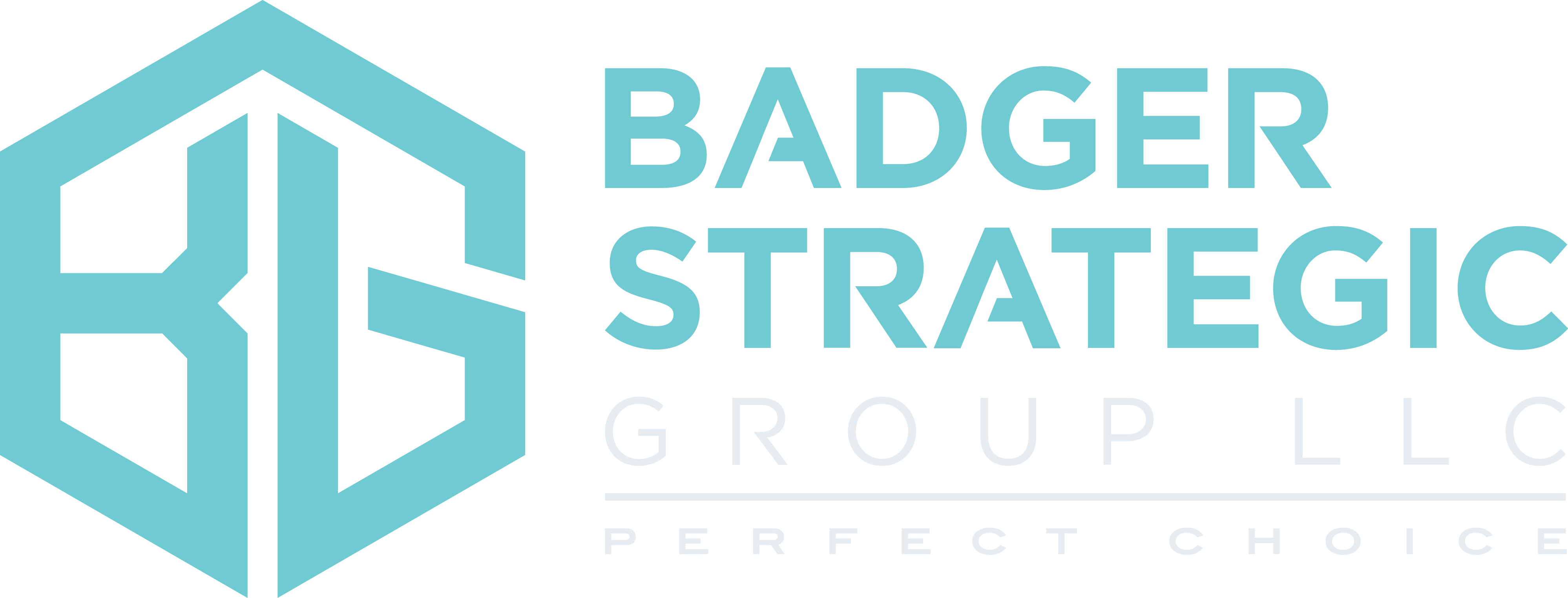 Badger Strategic Group LLC