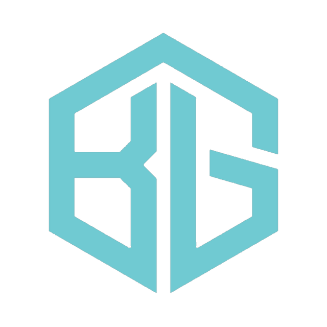 Badger Strategic Group LLC